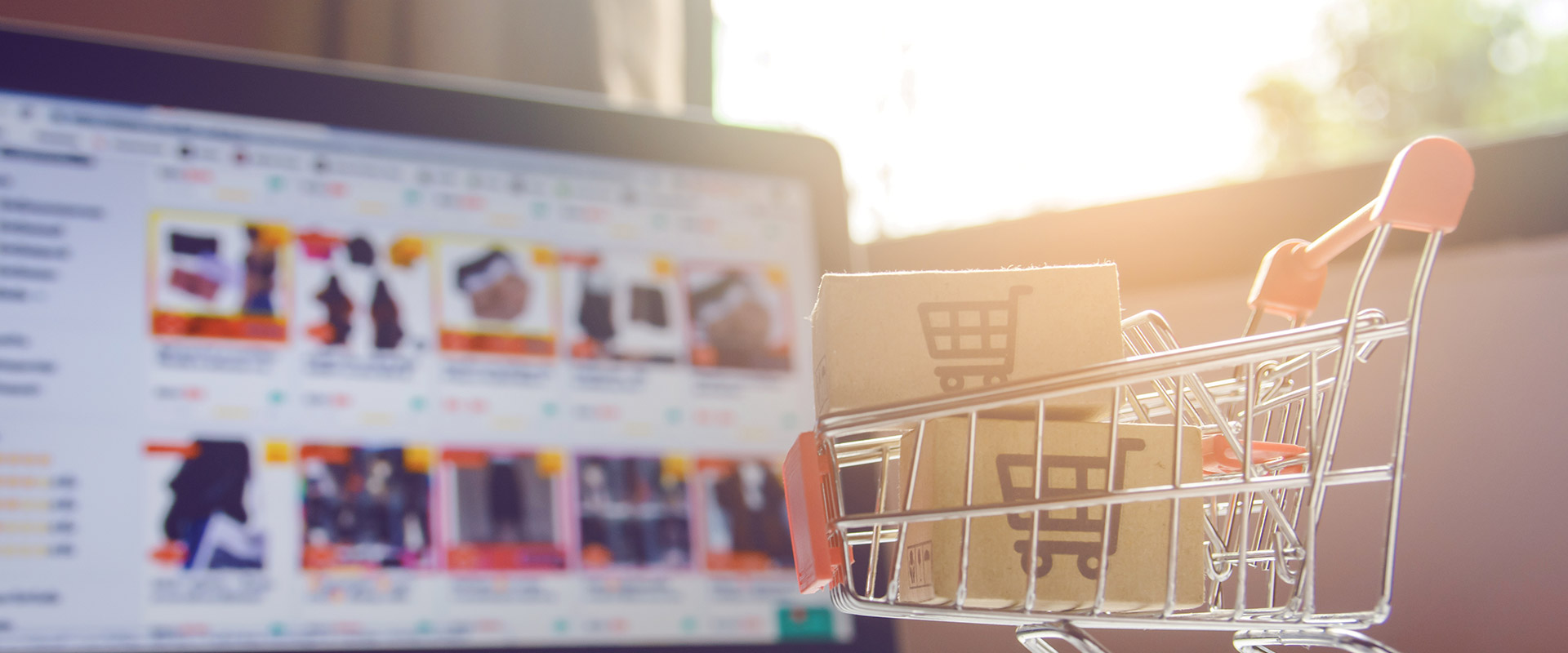 Online Store & Web App
